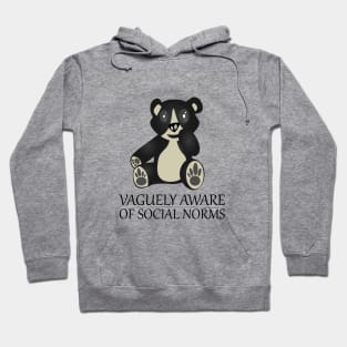 Vaguely aware of social norms Hoodie